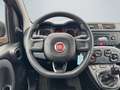 Fiat Panda Easy 1.2 PDC Klima Gar. Start-Stop ZV HUAU neu Ins Orange - thumbnail 12