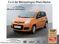 Fiat Panda Easy 1.2 PDC Klima Gar. Start-Stop ZV HUAU neu Ins Orange - thumbnail 1