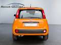 Fiat Panda Easy 1.2 PDC Klima Gar. Start-Stop ZV HUAU neu Ins Orange - thumbnail 4