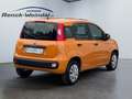 Fiat Panda Easy 1.2 PDC Klima Gar. Start-Stop ZV HUAU neu Ins Orange - thumbnail 5