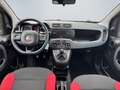 Fiat Panda Easy 1.2 PDC Klima Gar. Start-Stop ZV HUAU neu Ins Orange - thumbnail 10