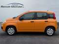 Fiat Panda Easy 1.2 PDC Klima Gar. Start-Stop ZV HUAU neu Ins Orange - thumbnail 2