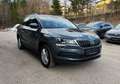 Skoda Karoq 2,0 TDI DSG SCR 4x4 Ambition Grau - thumbnail 2