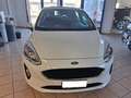 Ford Fiesta Fiesta 1.5 EcoBlue 5 porte Connect Blanc - thumbnail 9