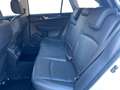 Subaru OUTBACK Outback 2,5i Premium AWD CVT Weiß - thumbnail 23