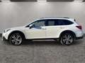 Subaru OUTBACK Outback 2,5i Premium AWD CVT Weiß - thumbnail 2