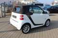 smart forTwo fortwo cabrio Passion 62 kW 1.Hd Sh. Blanc - thumbnail 8