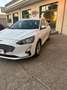 Ford Focus Focus 1.5 EcoBlue 120 CV SW Business Blanc - thumbnail 5