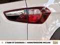 Ford EcoSport 1.0 ecoboost active s&s 125cv Blanc - thumbnail 16