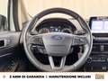 Ford EcoSport 1.0 ecoboost active s&s 125cv Blanc - thumbnail 18