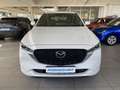 Mazda CX-5 2.2 Takumi Automatik AWD Schiebedach, Leder Blanc - thumbnail 14
