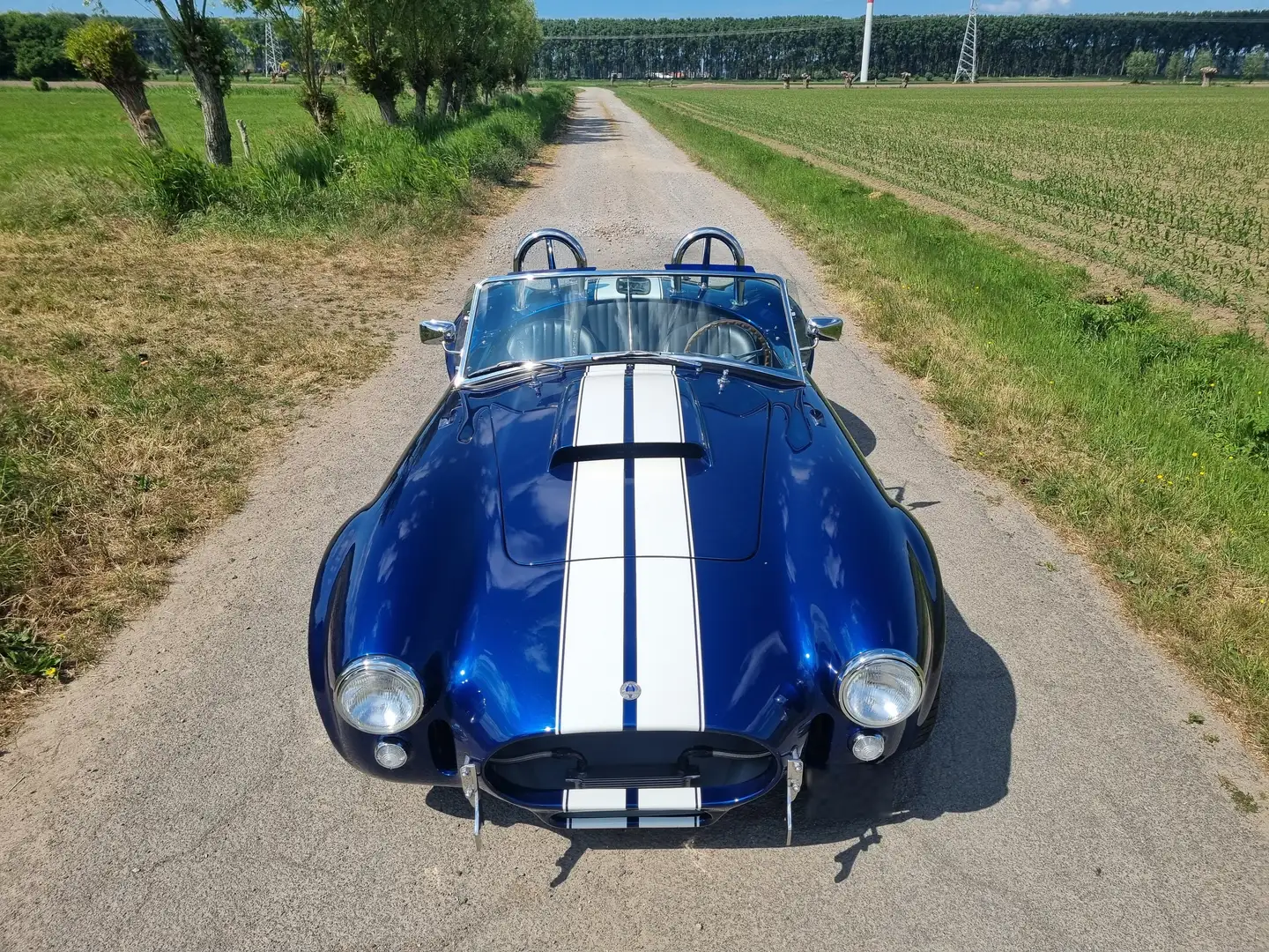 AC Cobra - GARDNER DOUGLAS GD427 MK4 - LS3 533PK - MANUEEL Bleu - 2
