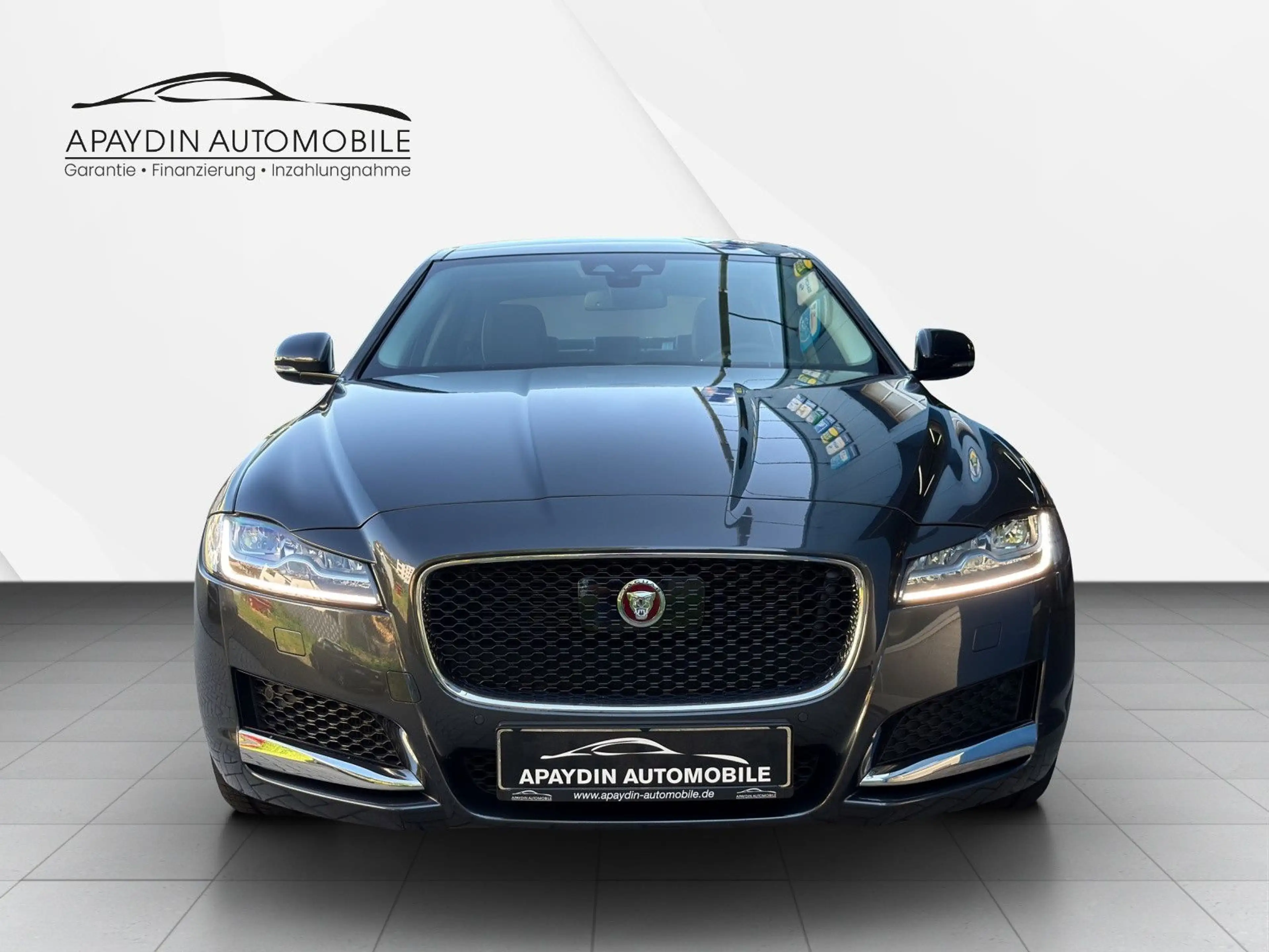 Jaguar XF Portfolio 25 AWD PANO/ACC/LEDER/WiP/15.000 KM — photo 8