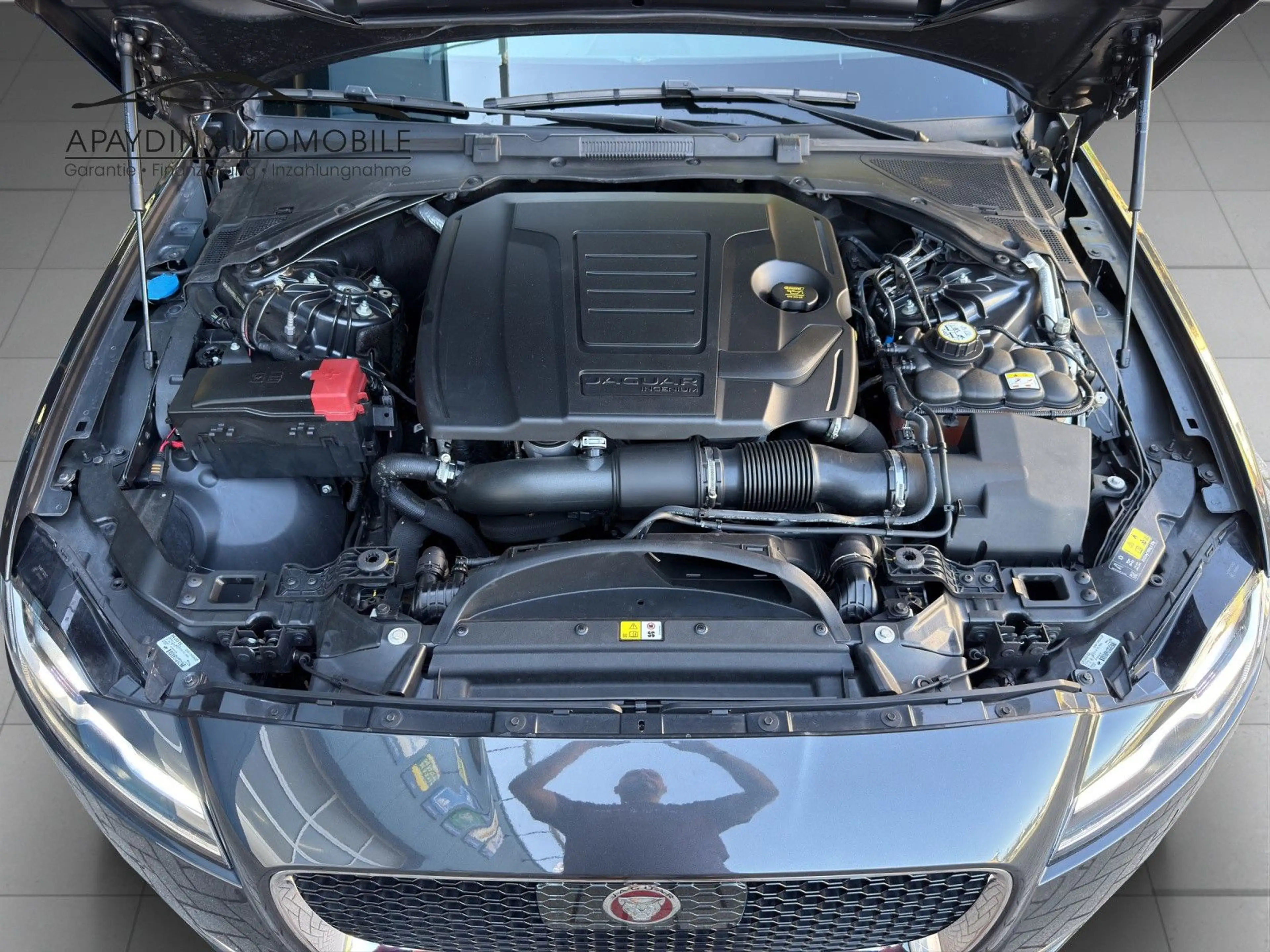 Jaguar XF Portfolio 25 AWD PANO/ACC/LEDER/WiP/15.000 KM — photo 43