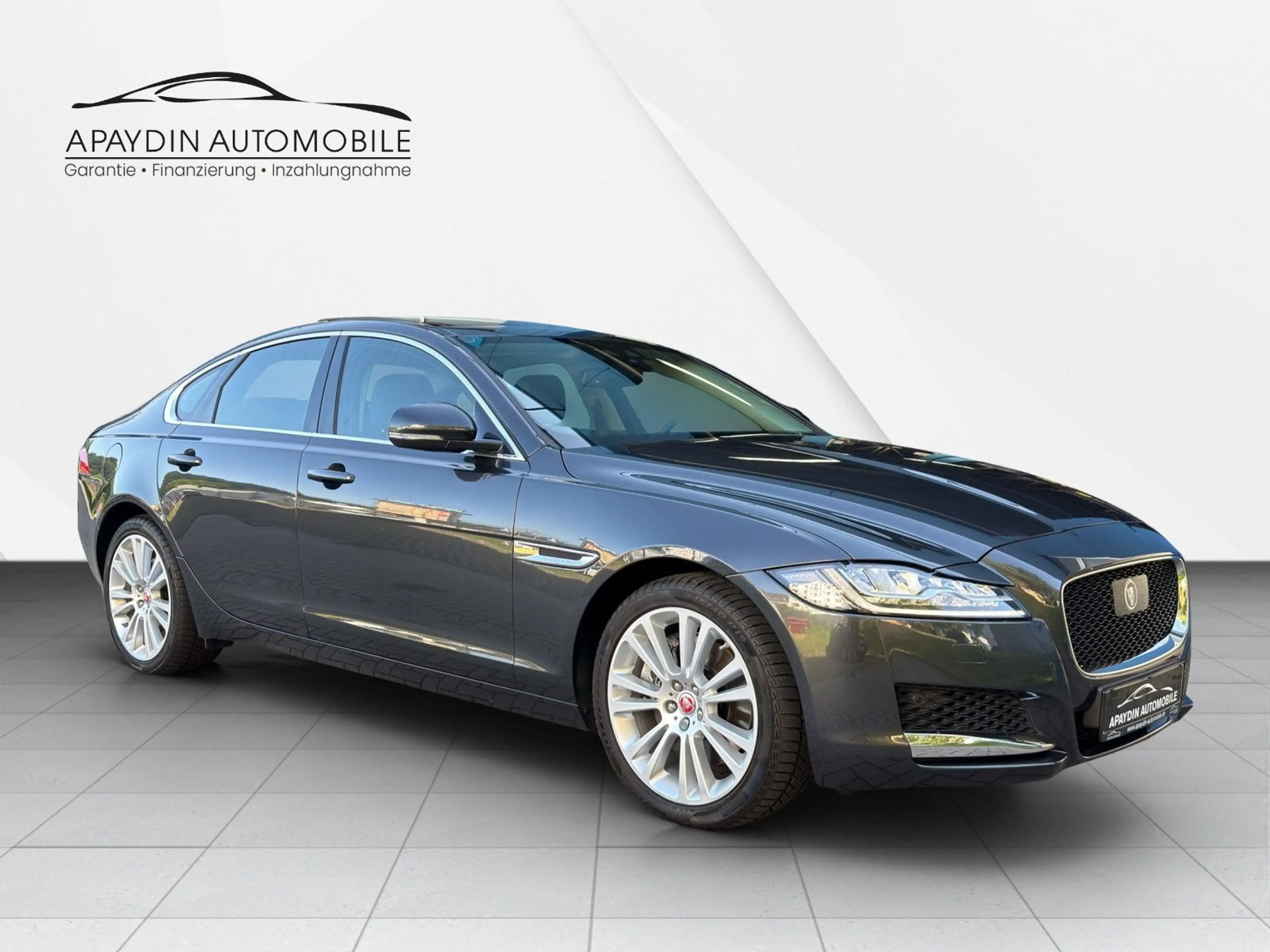 Jaguar XF Portfolio 25 AWD PANO/ACC/LEDER/WiP/15.000 KM — photo 7