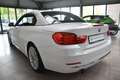 BMW 420 i Luxury Automatik Navi Leder BiXenon PDCv+h Blanc - thumbnail 7