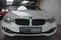 BMW 420 i Luxury Automatik Navi Leder BiXenon PDCv+h Blanc - thumbnail 10