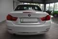 BMW 420 i Luxury Automatik Navi Leder BiXenon PDCv+h Blanc - thumbnail 5