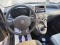 Fiat Panda Panda 1.2 BENZINA 60CV 5 POSTI PERFETTA Gris - thumbnail 15