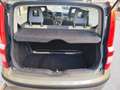 Fiat Panda Panda 1.2 BENZINA 60CV 5 POSTI PERFETTA Gris - thumbnail 12