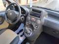 Fiat Panda Panda 1.2 BENZINA 60CV 5 POSTI PERFETTA Gris - thumbnail 10