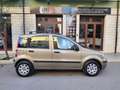 Fiat Panda Panda 1.2 BENZINA 60CV 5 POSTI PERFETTA Gris - thumbnail 8