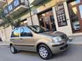 Fiat Panda Panda 1.2 BENZINA 60CV 5 POSTI PERFETTA Gris - thumbnail 1