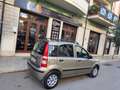 Fiat Panda Panda 1.2 BENZINA 60CV 5 POSTI PERFETTA Gris - thumbnail 5