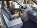 Fiat Panda Panda 1.2 BENZINA 60CV 5 POSTI PERFETTA Gris - thumbnail 11