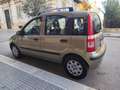 Fiat Panda Panda 1.2 BENZINA 60CV 5 POSTI PERFETTA Gris - thumbnail 6
