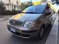 Fiat Panda Panda 1.2 BENZINA 60CV 5 POSTI PERFETTA Gris - thumbnail 2