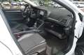 Renault Megane IV Lim. 5-trg. BOSE-Edition Weiß - thumbnail 10