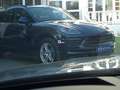Audi A5 Sportback 2.0 TFSI Advanced Q. S tronic Gris - thumbnail 26
