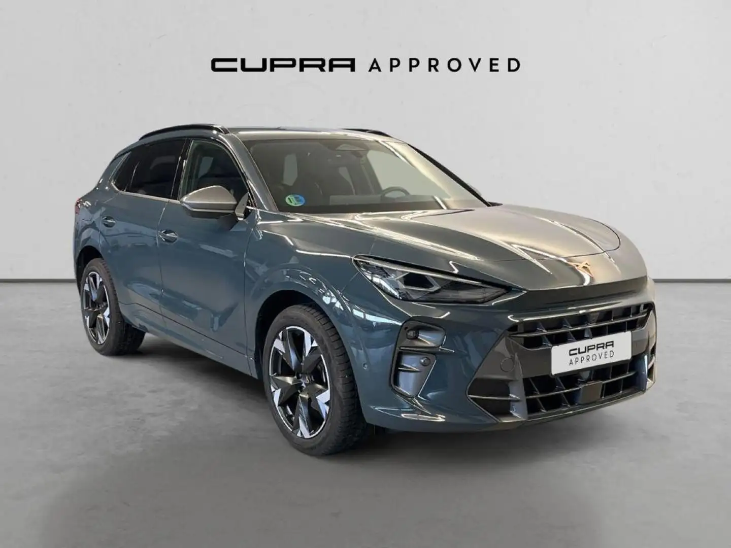 CUPRA Terramar 1.5 eTSI 110 DSG Azul - 1