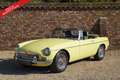 MG B Roadster PRICE REDUCTION Same owner since 1981!! Geel - thumbnail 20