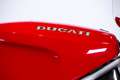 Ducati 888 CORSE WSBK - EX MAURO LUCCHIARI Rojo - thumbnail 45