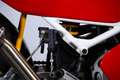 Ducati 888 CORSE WSBK - EX MAURO LUCCHIARI Rouge - thumbnail 44