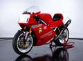 Ducati 888 CORSE WSBK - EX MAURO LUCCHIARI Kırmızı - thumbnail 1