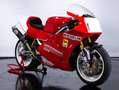 Ducati 888 CORSE WSBK - EX MAURO LUCCHIARI Roşu - thumbnail 2