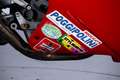 Ducati 888 CORSE WSBK - EX MAURO LUCCHIARI Rood - thumbnail 42