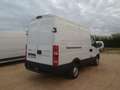Iveco Daily 35s13 furgone medio alto Bianco - thumbnail 4