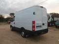 Iveco Daily 35s13 furgone medio alto Bianco - thumbnail 5