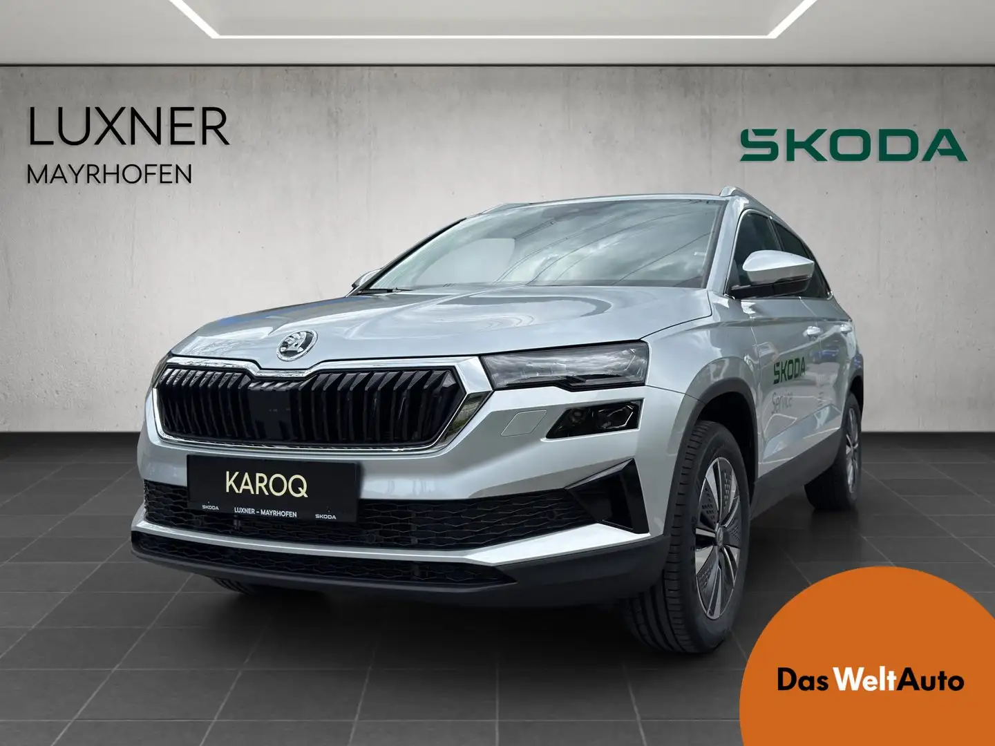 Skoda Karoq 4x4 Selection TDI DSG Argent - 1