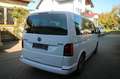 Volkswagen T6.1  Multivan Generation Six-4Motion-ACC-AHK- Weiß - thumbnail 5