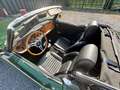 Triumph TR6 Overdrive 150 ch Grün - thumbnail 10