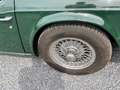 Triumph TR6 Overdrive 150 ch Grün - thumbnail 8
