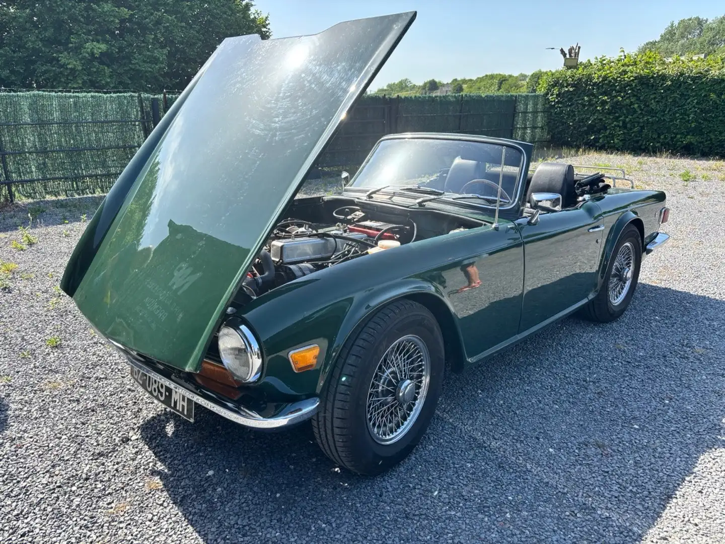 Triumph TR6 Overdrive 150 ch Grün - 1