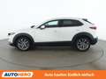 Mazda CX-30 2.0 Skyactiv-X Mild-Hybrid 100 Years AWD Weiß - thumbnail 3
