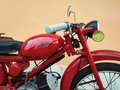 Moto Guzzi Cardellino Rojo - thumbnail 4