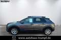 Citroen C4 Cactus 1.2 PureTech 130 Shine S&S (EURO 6d) Grau - thumbnail 1